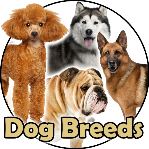 Dog Breeds - Pics and Info logo