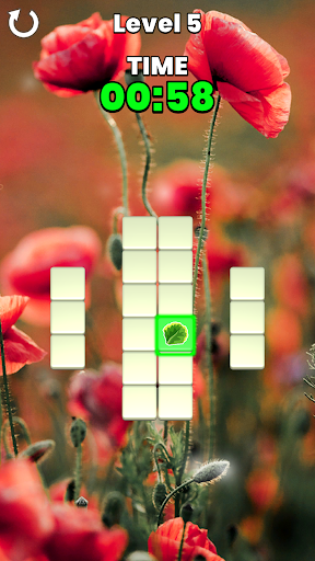 Memory Match Screen 2