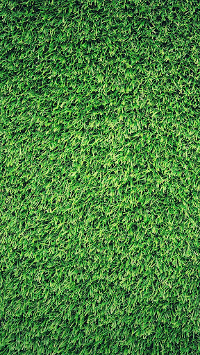 Green Wallpapers Screen 3