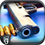 Survive Shooter Fps icon