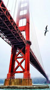 Captura de Pantalla 20 El puente Golden Gate android