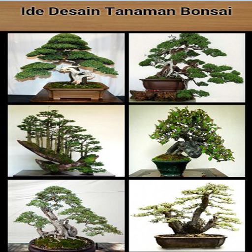 Bonsai Plant Design Idea Screen 2