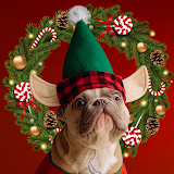 Christmas Photo Editor & Merry Christmas Collage icon