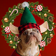 क्रिसमस फोटो एडिटर: कोलाज मेकर विंडोज़ पर डाउनलोड करें