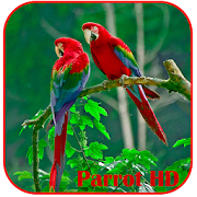 Parrots HD Live Wallpaper  Icon