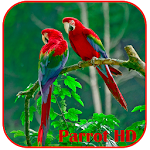 Parrots HD Live Wallpaper Apk