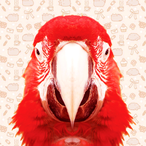 Memory game - Find pair Puzzle Download on Windows