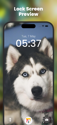 Screenshot of Animal Wallpapers HD | 4K