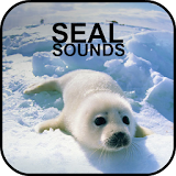 Seal Sounds icon