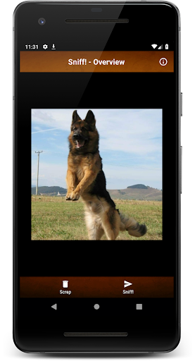 Sniff! - Dog Breed Identificat Screen 2