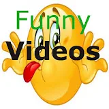 Funny Videos Community  International icon