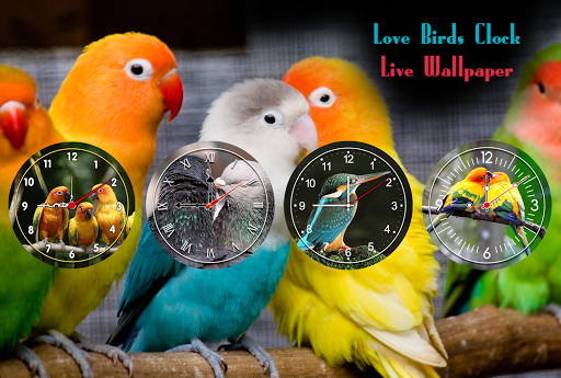 Android application Love Birds Clock Wallpaper screenshort