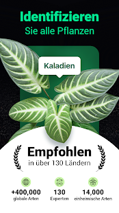 Plantum - Pflanzen bestimmen Screenshot