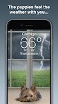screenshot of Weather Puppy - App & Widget