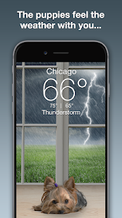 Weather Puppy - App & Widget Screenshot