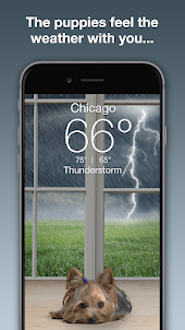 Weather Puppy - App &amp; Widget Weather Forecast
