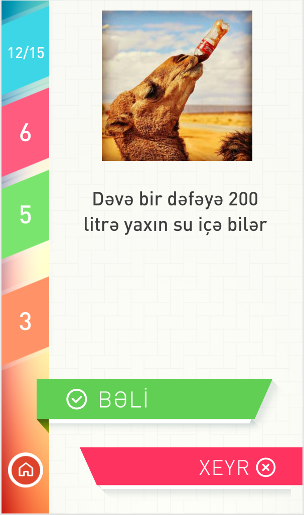 Android application BəliXeyr screenshort