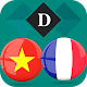 Vietnamese French Dictionary Download on Windows
