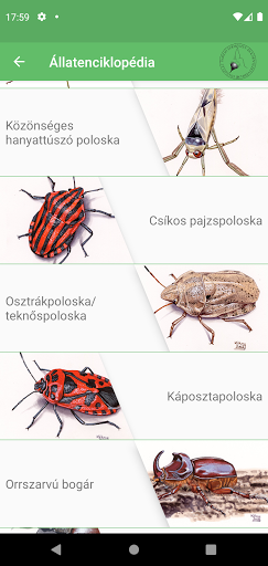 PAPILIO mobilalkalmazás Screen 3