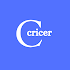 Cricer - Cricket Scoring app