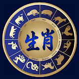 Chinese Astrology Pro icon