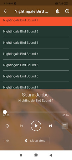 Nightingale Bird Sounds Screen 3