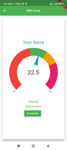 Vital Stats BMI Calculator Screen 3