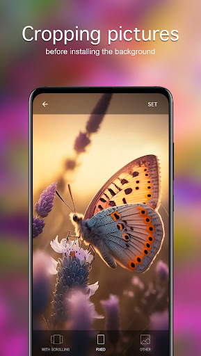 Screenshot of Butterfly Wallpapers 4K