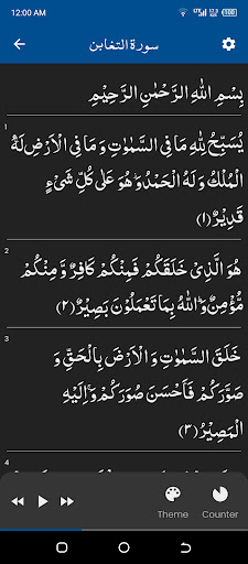 Surah Taghabun سورة التغابن Screen 2