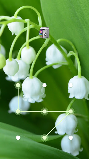 Android application AppLock Lily of the Valley screenshort