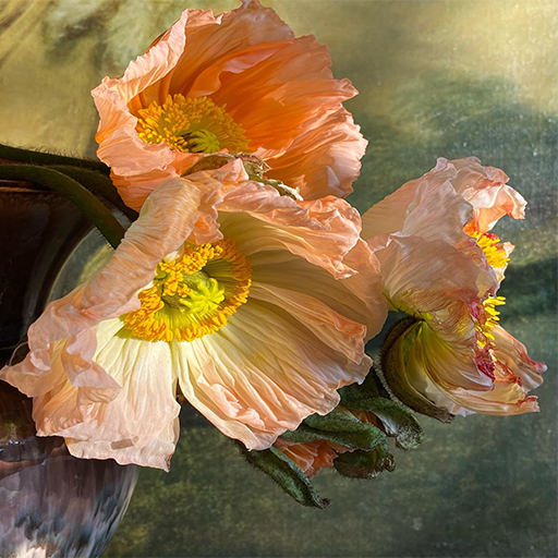 Favorite Flowers Wallpapers HD