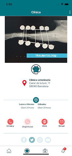 VetSocial Screen 2