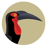 BirdPro icon