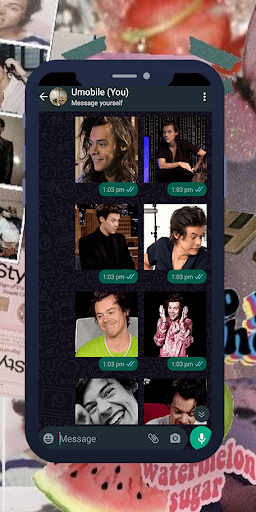 Harry Styles GIF WASticker Screen 2
