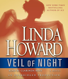Icon image Veil of Night: A Novel