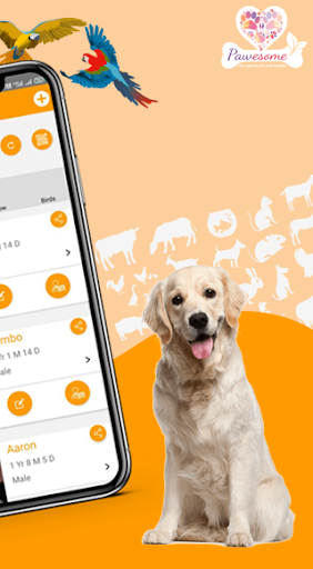 Pawesome  Pet Care Solution