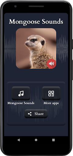 Mongoose Sounds Screen 2