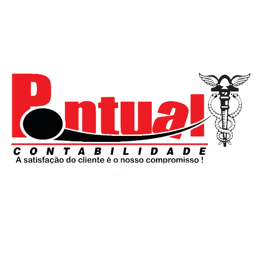 Pontual Contabilidade logo