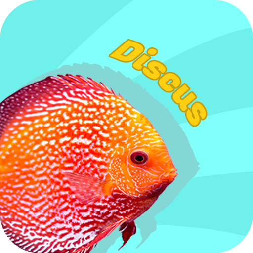 Discus Fish Hunter logo