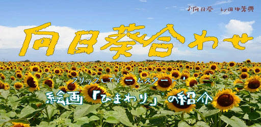 Android application 向日葵合わせ screenshort