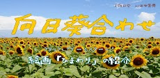 向日葵合わせのおすすめ画像1