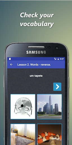 Portuguese conjugation Screen 3