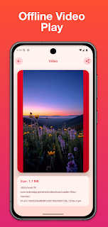 Video Downloader for Pinterest screenshot 2