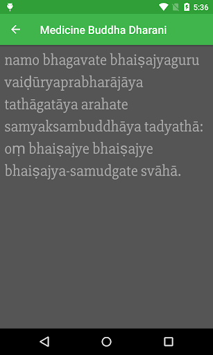 Medicine Buddha Dharani Screen 3