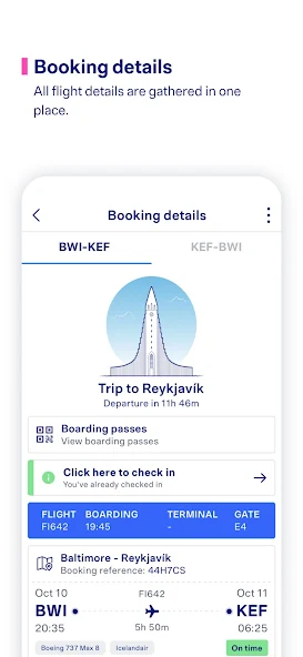 Icelandair Snapshots 5