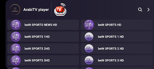 ArabiTV player Screen 3