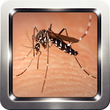 Mosquito Sound Collection icon