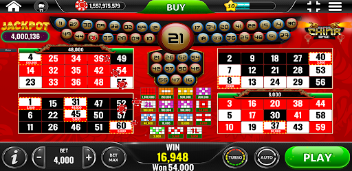 Amazonia Bingo - Social Casino 4