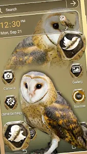 Owl Theme Launcher