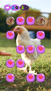 Chick Match